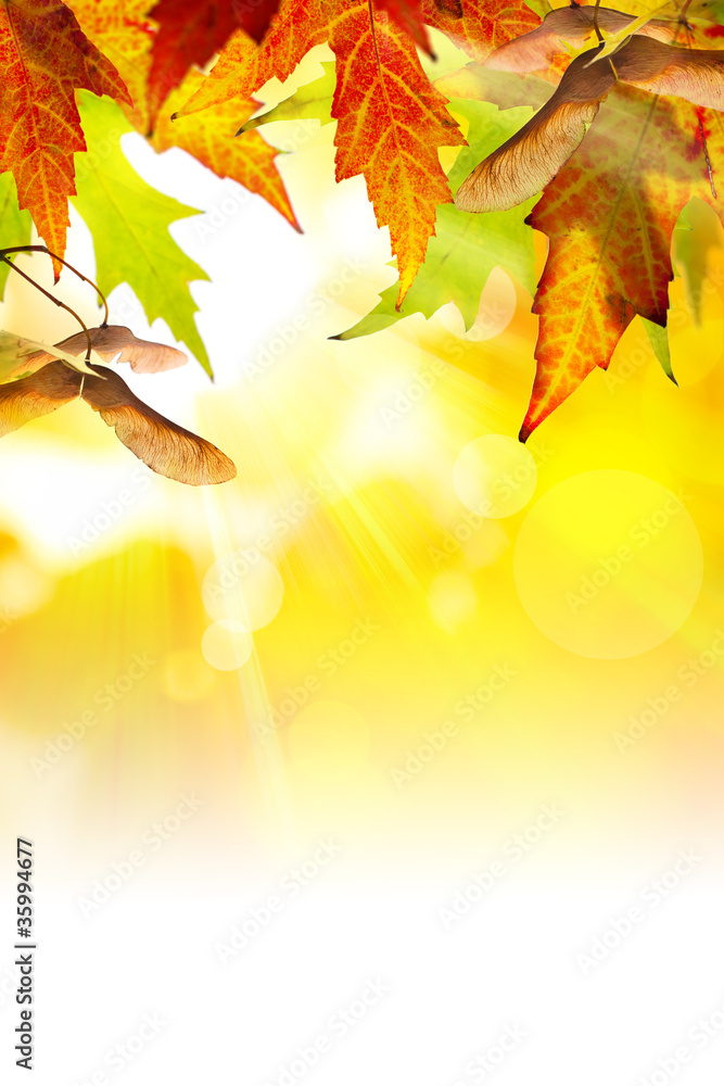 Art abstract autumn background