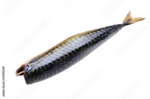 smoked mackerel on white