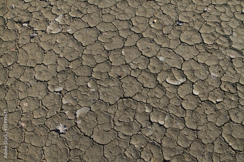 dry soil with crack