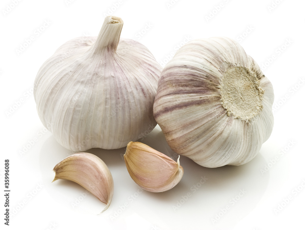 Obraz premium garlic,bulb