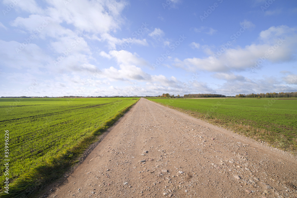 Fototapeta premium Rural road.