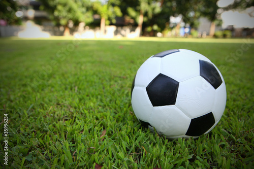 Football on grass © Oran Tantapakul