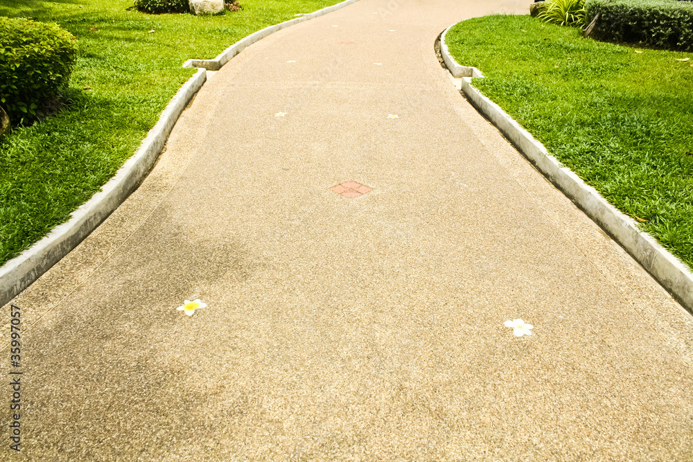 Obraz premium Parks footpath , Outdoor