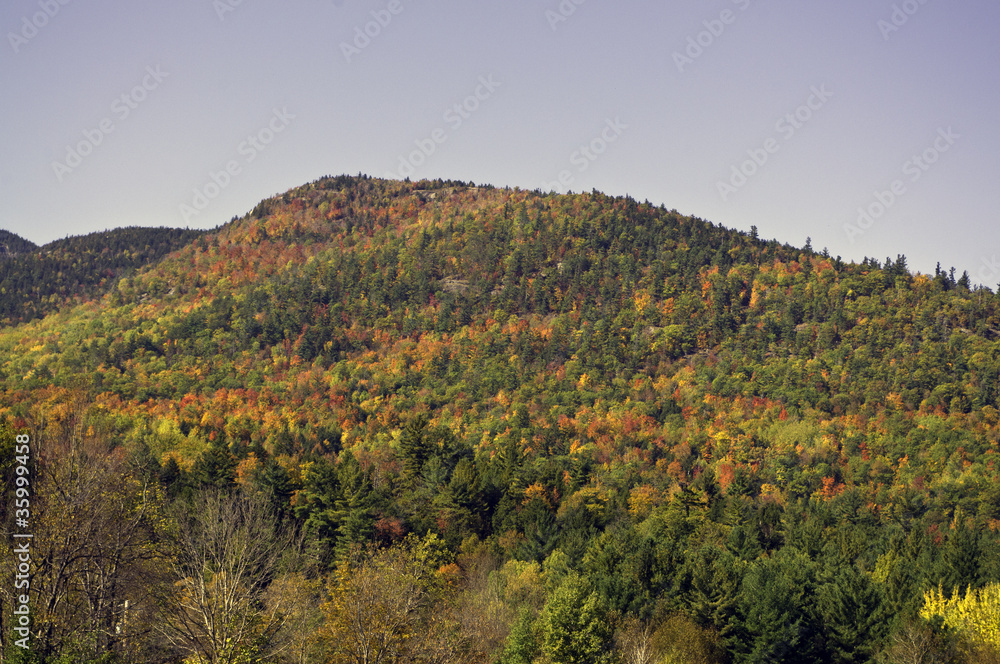 Fall in the Adirondack Mountains Fall in the Adirondack Mountains