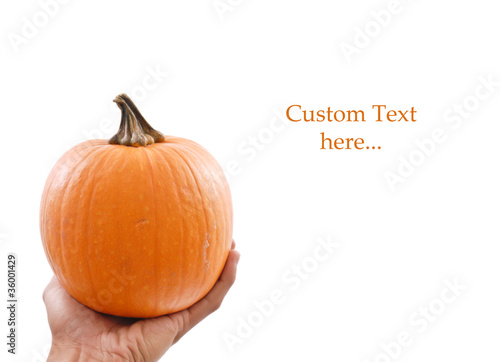 Hand with Medium Sized Pumpkin