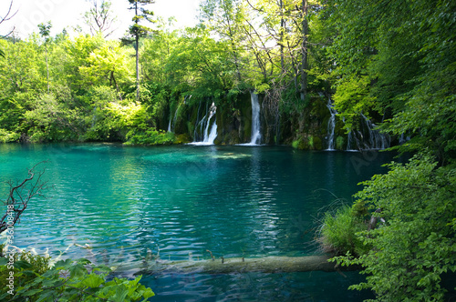 Beautiful lake in forest  Plitvice  Croatia