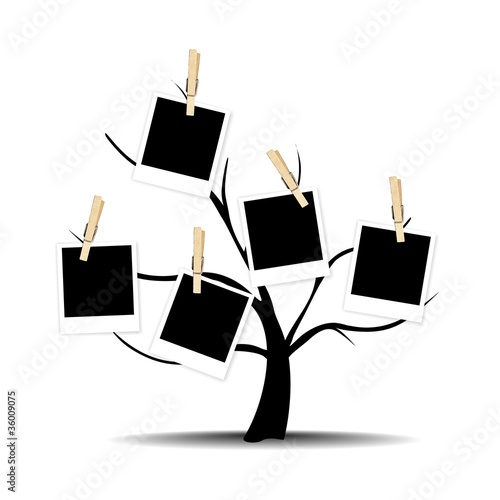 ARBOL GENEALOGICO photo