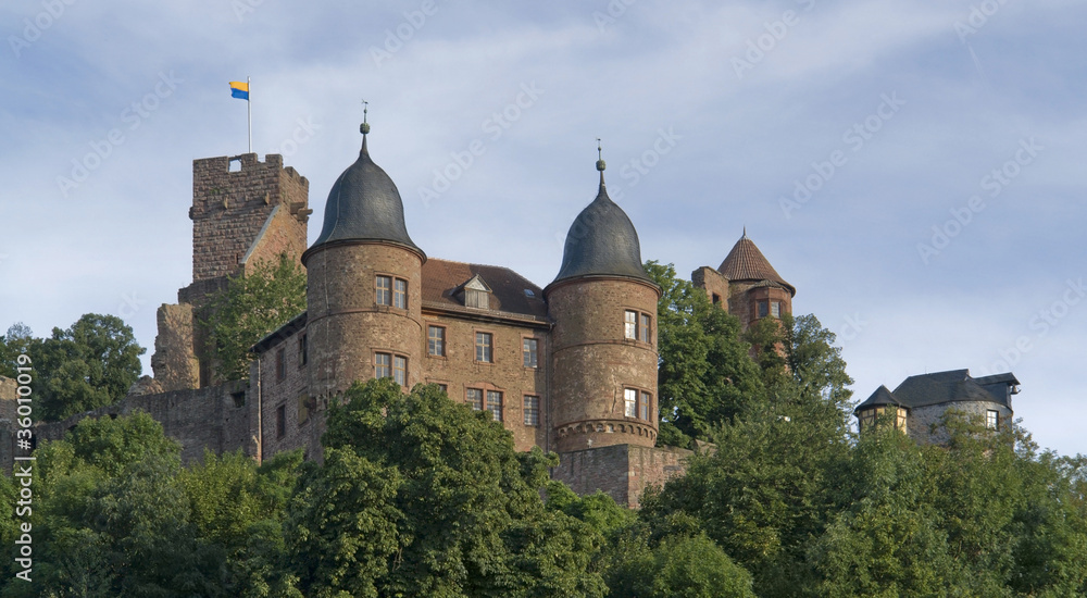 Wertheim Castle at summer time