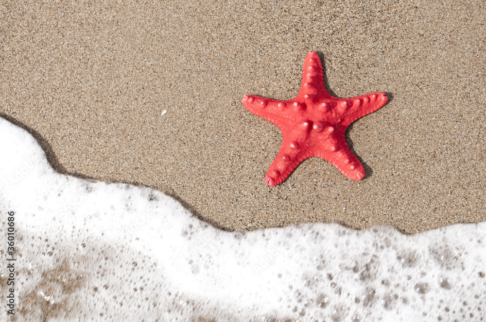 Starfish and ocean wave on sandy tropical beach Starfish and ocean wave on sandy tropical beach