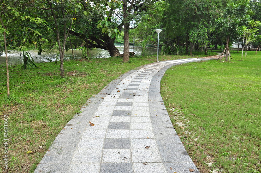 Obraz premium pathway in green park