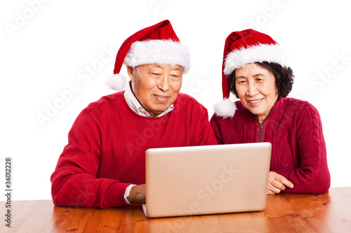 Senior Asian grandparents using computer