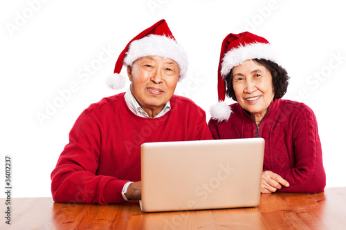 Senior Asian grandparents using computer