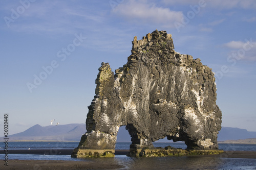 Rock Rhinoceros in the beach of Ossar