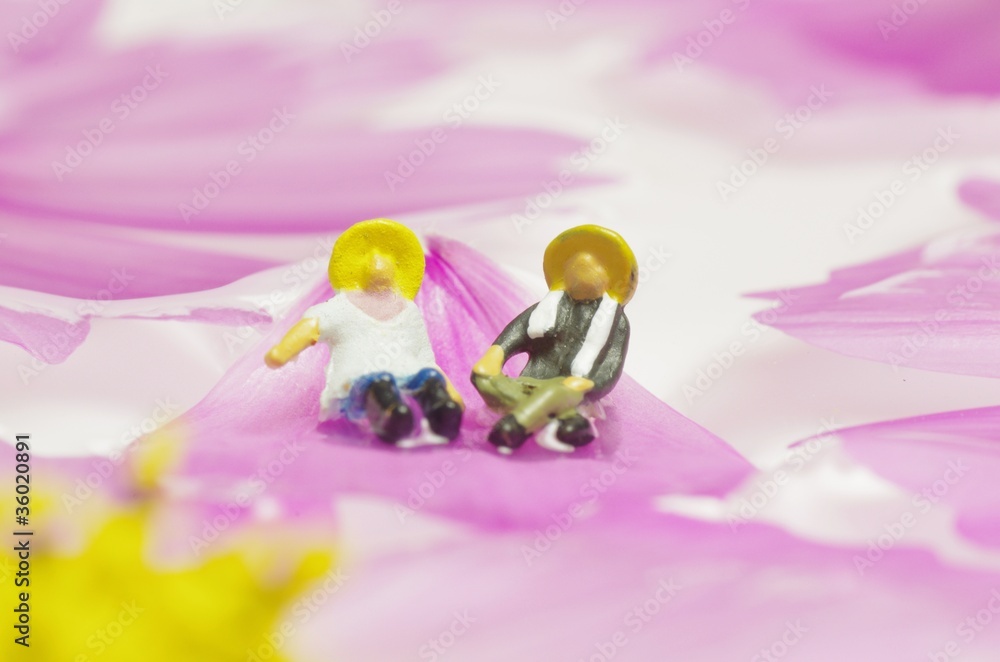コスモスの花弁とカップル コスモスの花弁とカップル