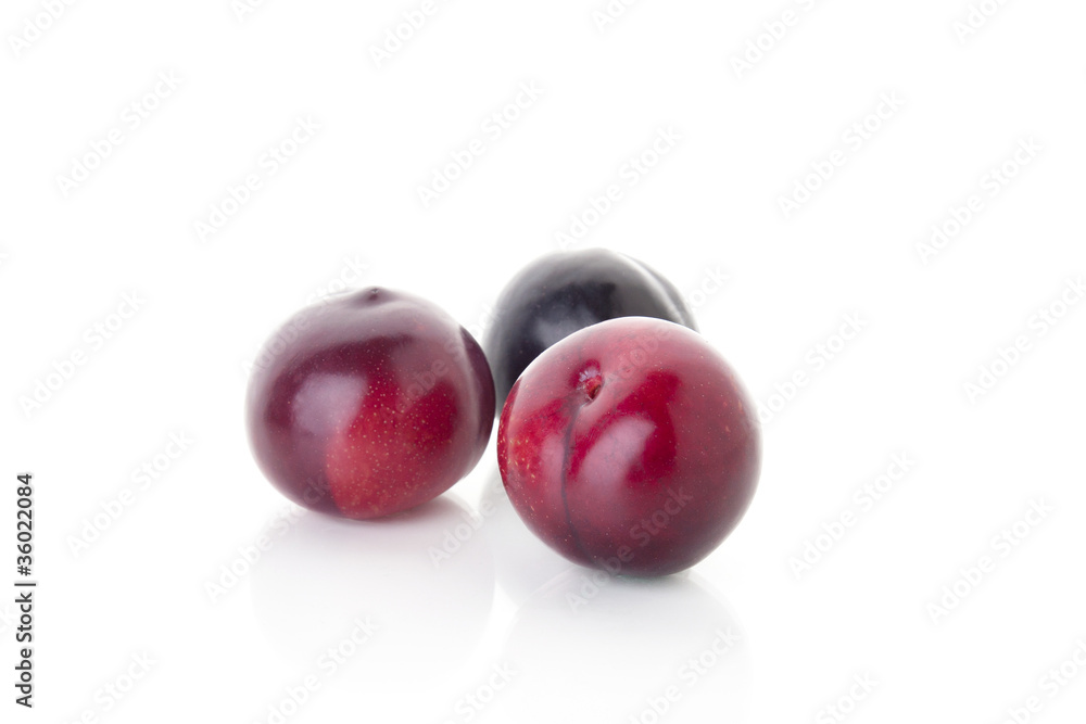 plum plum