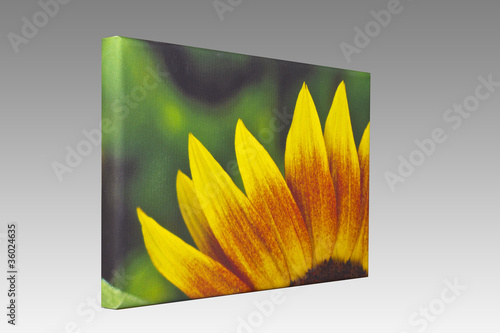 Leinwand auf Keilrahmen Sonnenblume