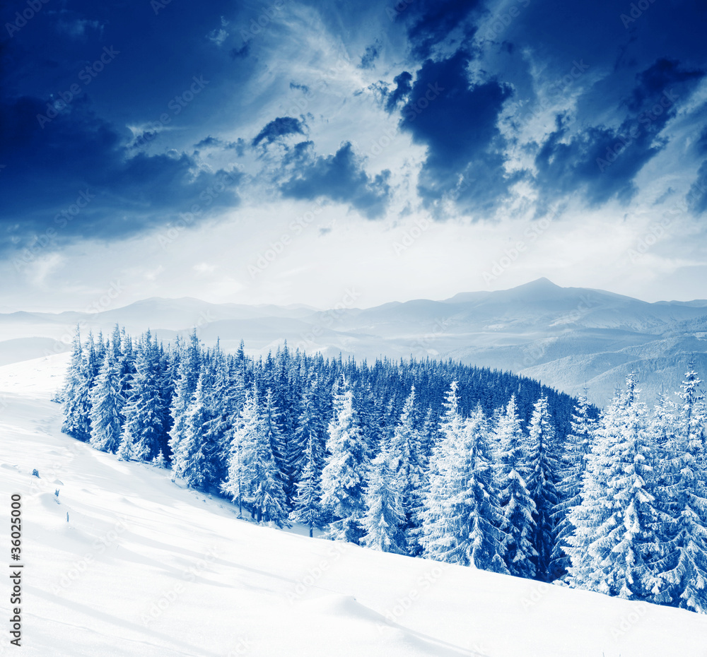 Obraz premium Winter