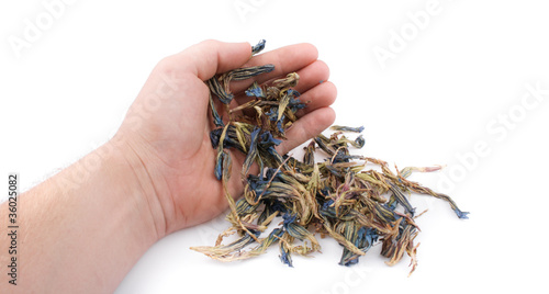 Dried Lotus Flowers