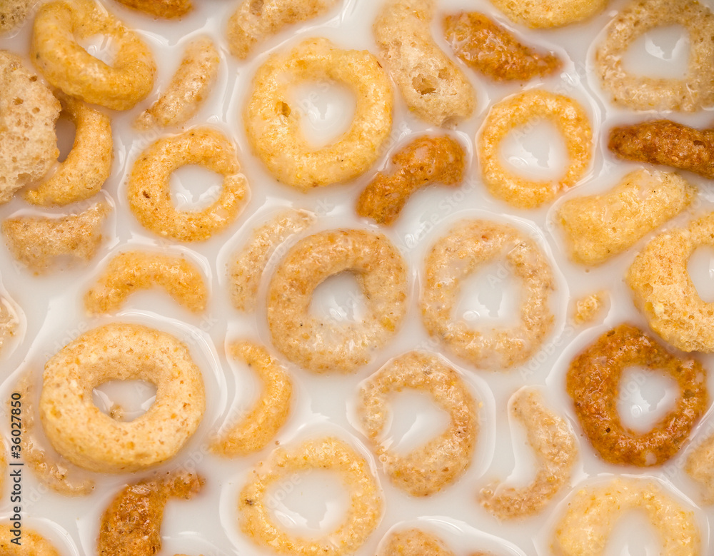 Cereal Cereal