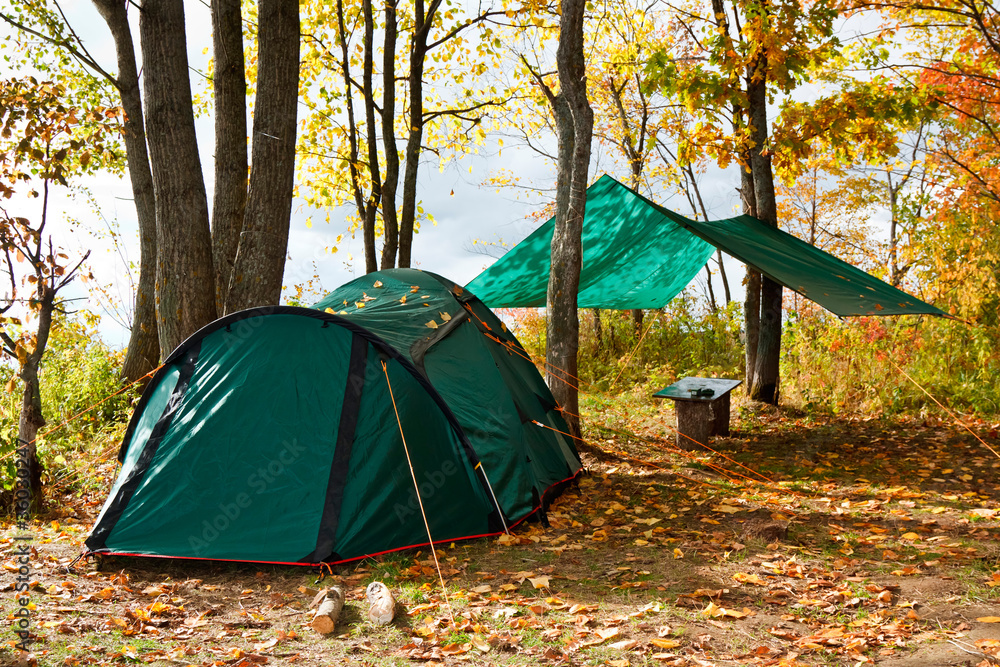 Camp among the trees