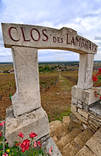 Foto PAYSAGE VITICOLE
