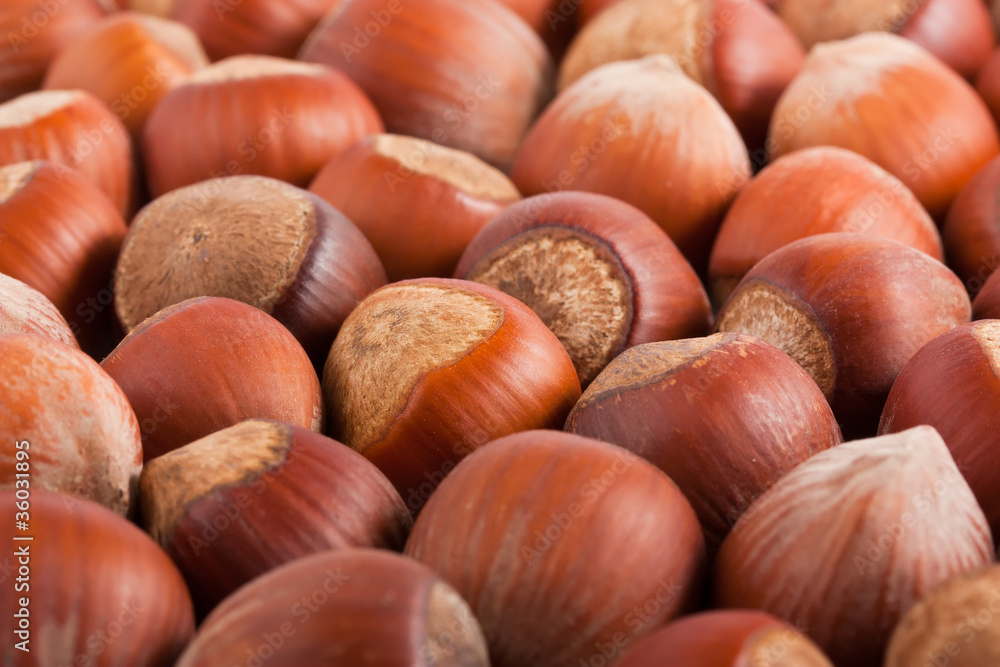 background of the hazelnuts
