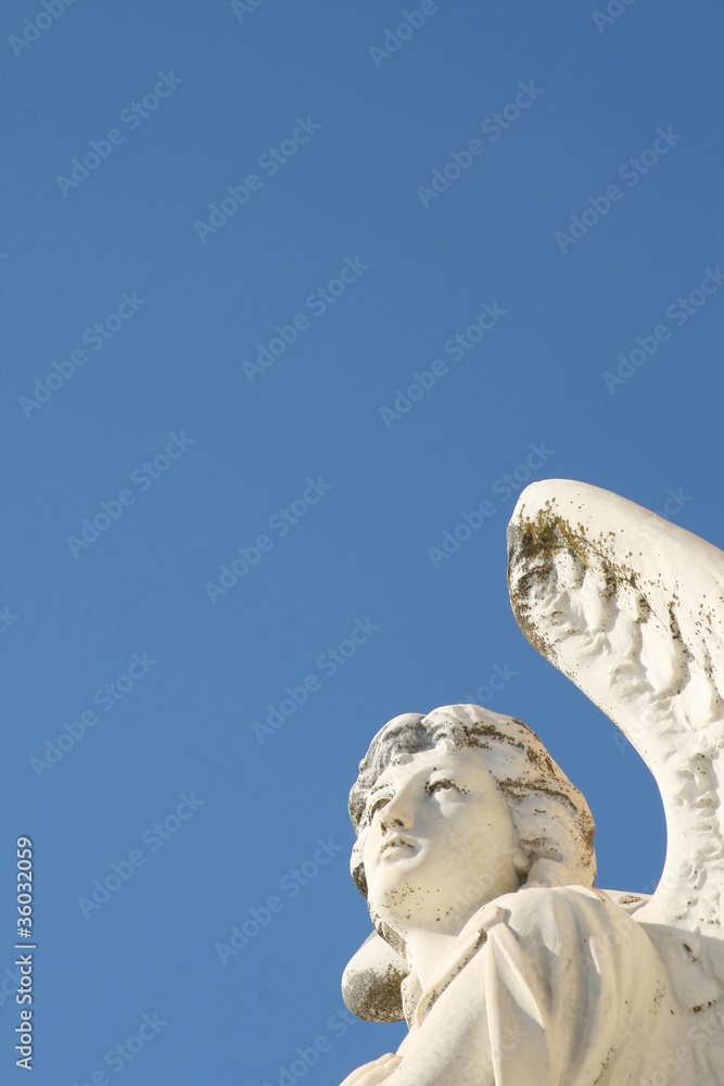 Statua angelica, particolare