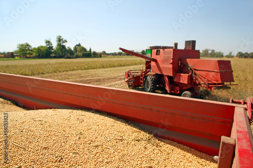 Soya harvesting