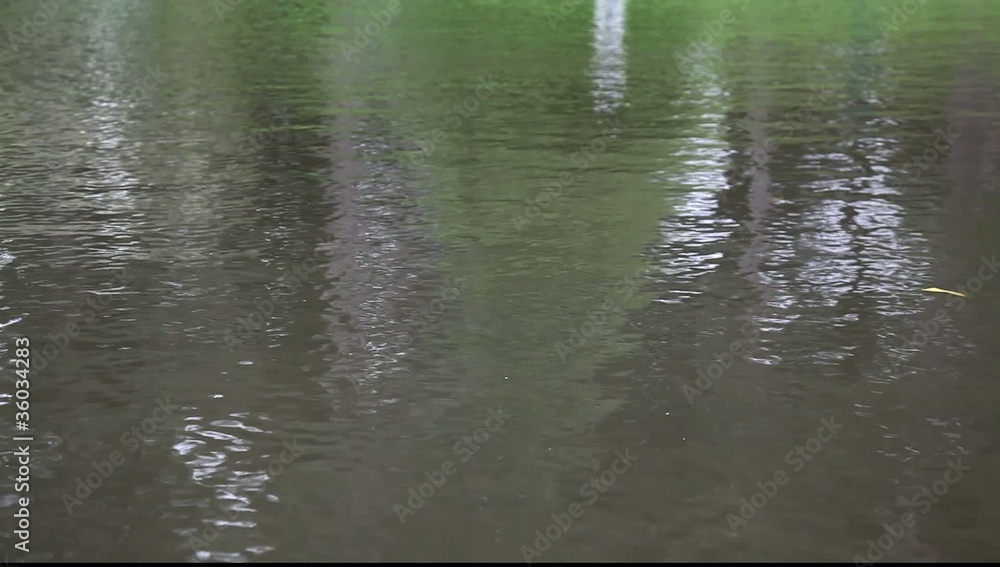 reflexion - zen reflexion - zen
