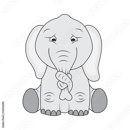 Sad elephant with knot on its nose