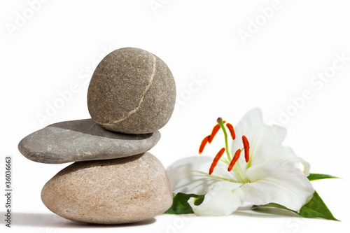 Balancing stones and White Lily