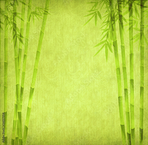 Fototapeta Naklejka Na Ścianę i Meble -  design of chinese bamboo trees with texture of handmade paper