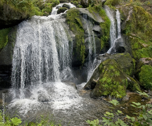 Fototapeta Naklejka Na Ścianę i Meble -  idyllic Triberg Waterfalls