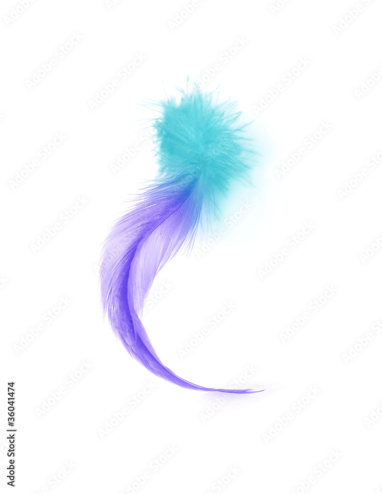 Feather