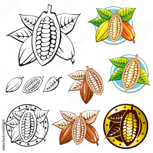cocoa bean symbols