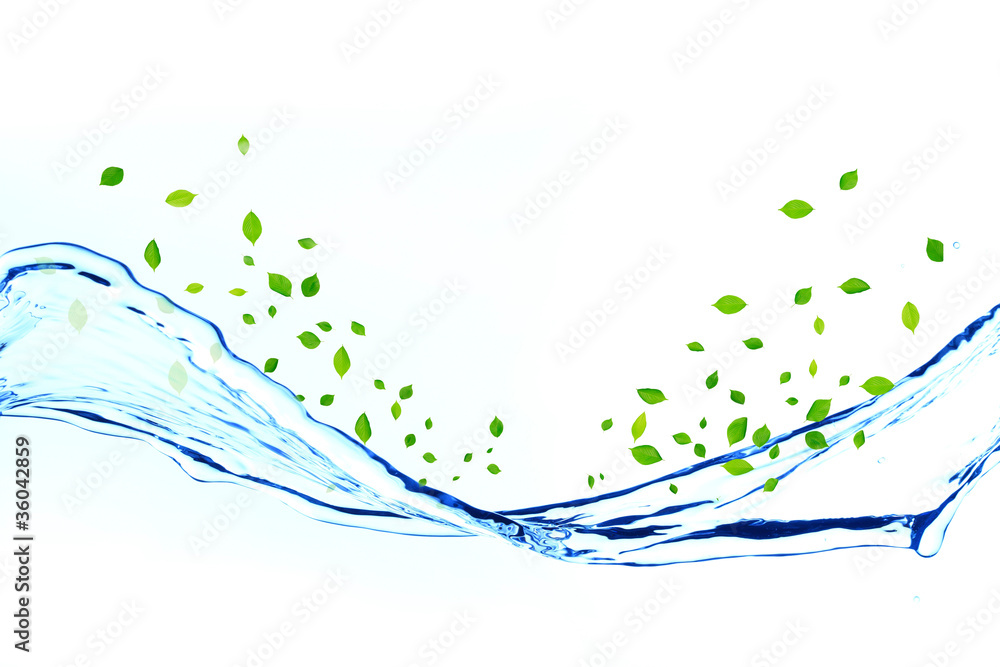水と若葉 水と若葉