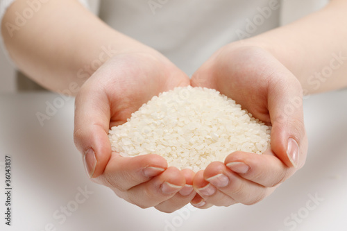 Wallpaper Mural 米と手 Torontodigital.ca