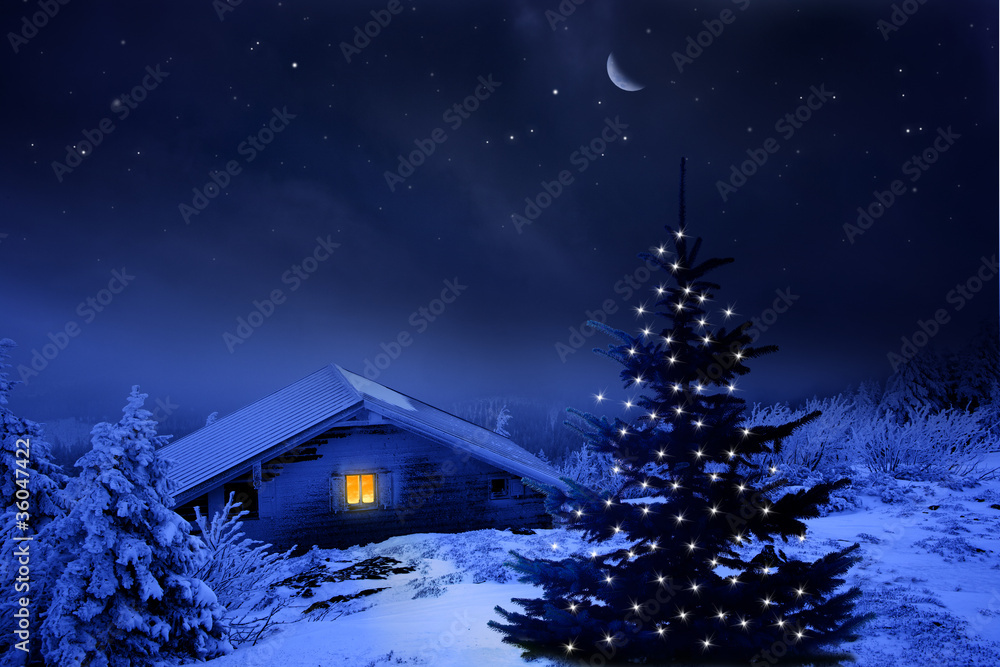 Weihnachtswald Weihnachtswald
