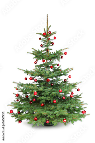 Christbaum