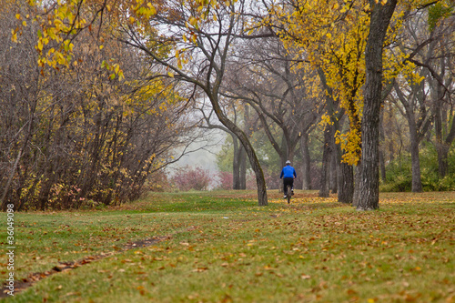 Fényképezés Autumn in Regina