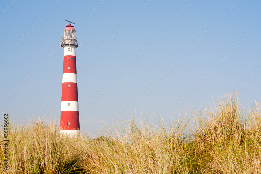 Lighthouse Lighthouse