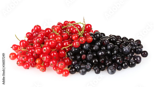 beautiful red currant and blueberry isolated on white