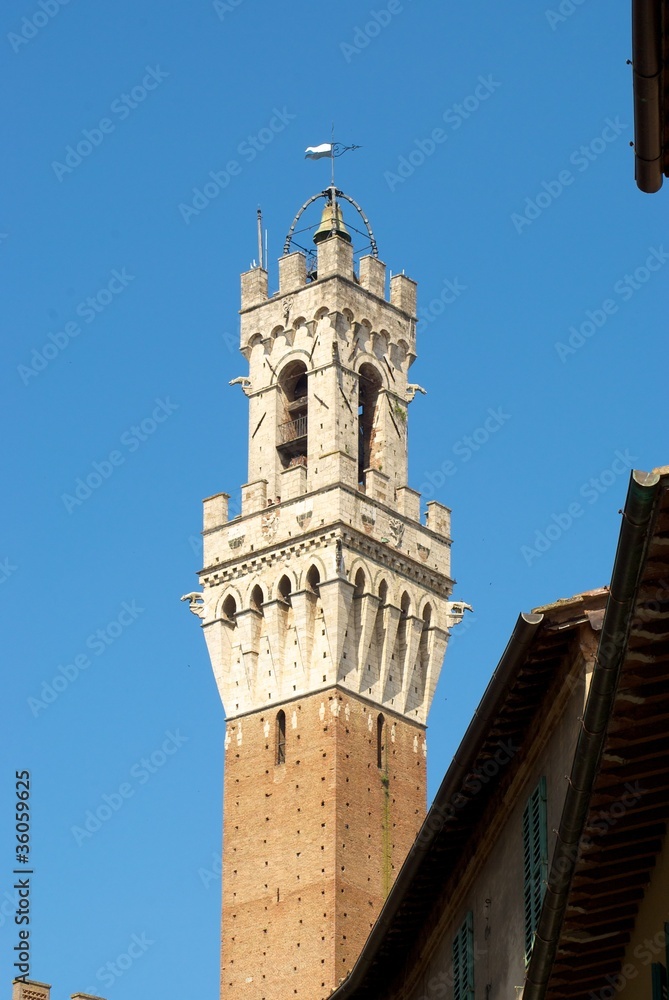 siena-mangia tower