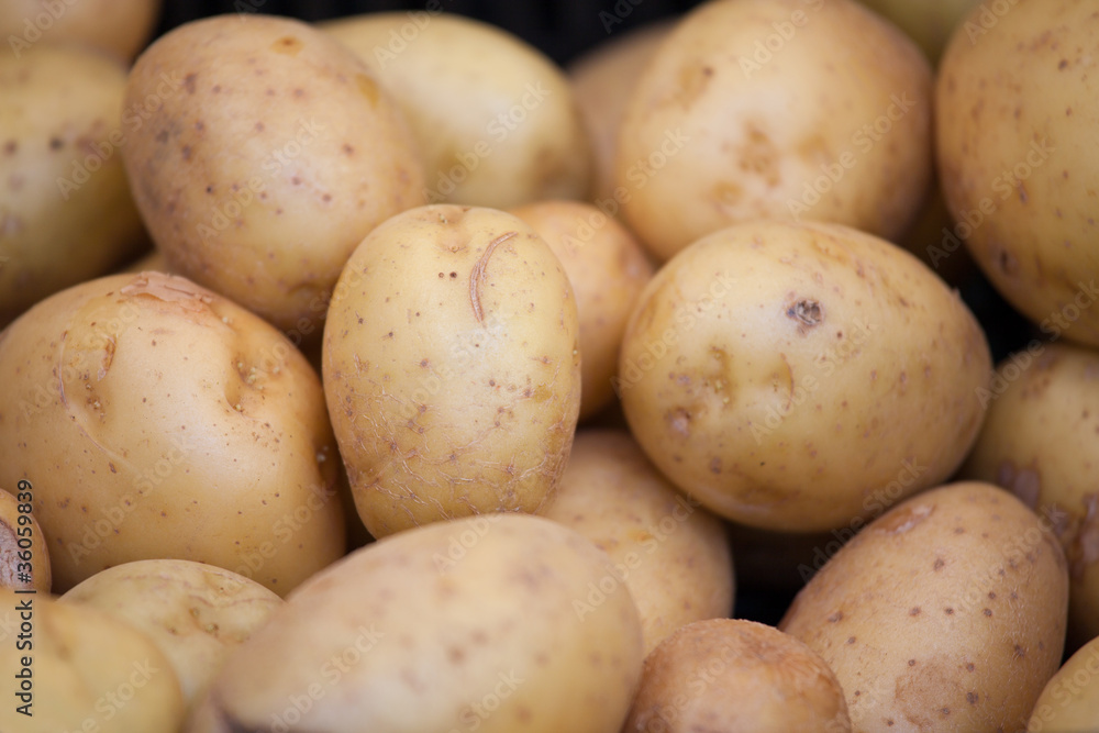 Group of young raw patatoes in peel close-up Group of young raw patatoes in peel close-up