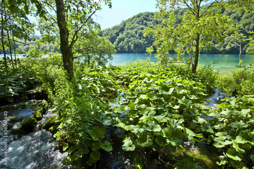 Fototapeta premium Plitvice lakes national park in Croatia, nature travel backgroun