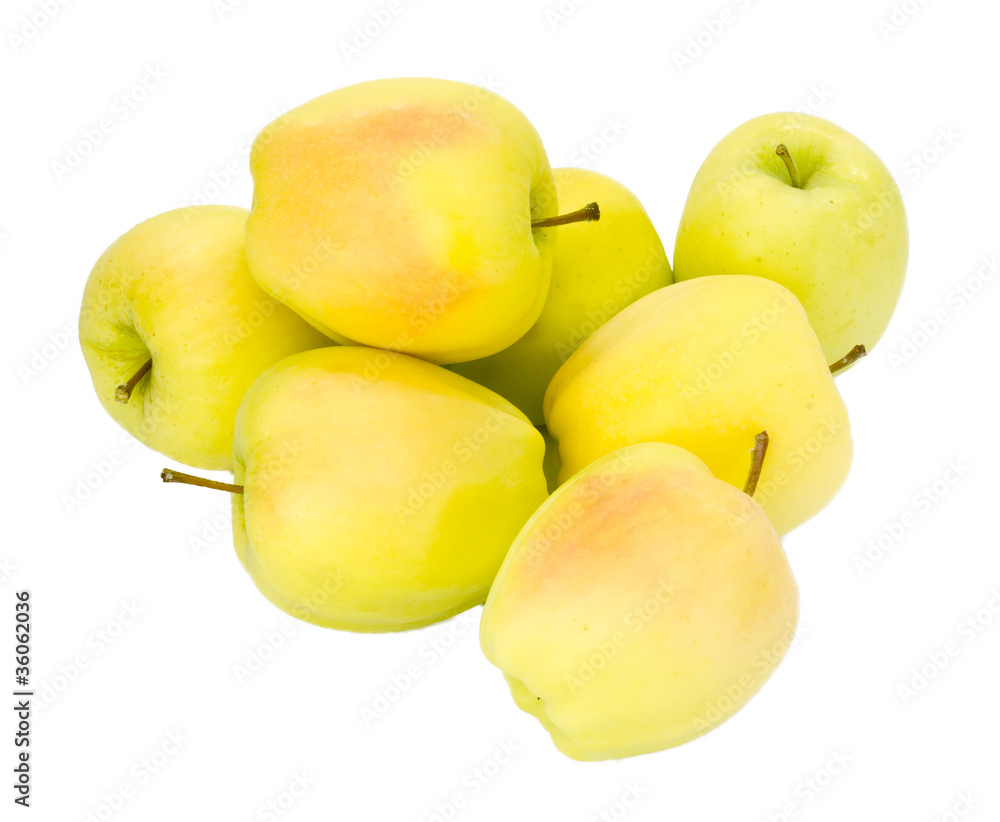 Golden Delicious apples isolated on white