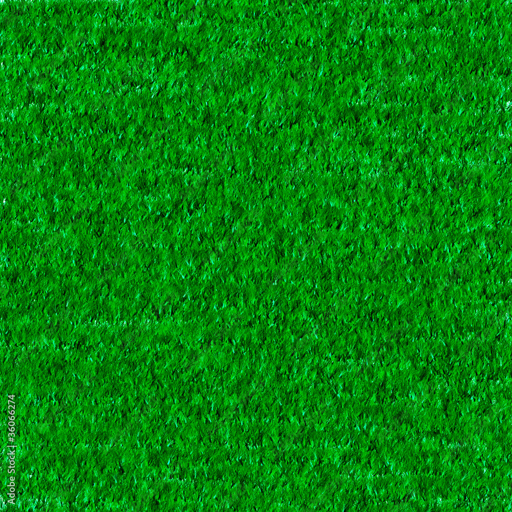 Structure of a green grass Structure of a green grass