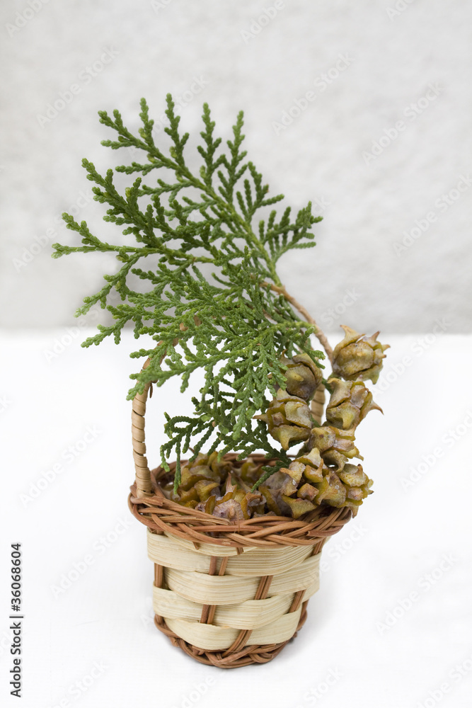 basket with pine branches and mini cones