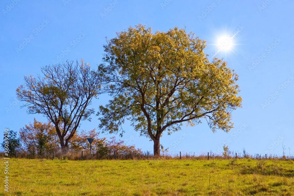 Herbstlandschaft Herbstlandschaft