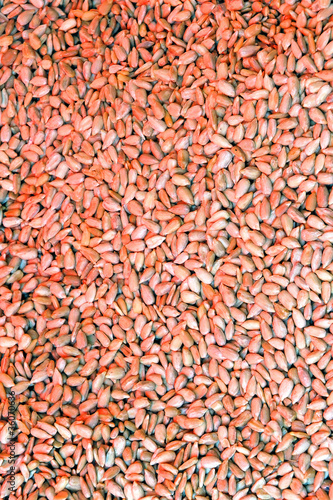 Seeds at the Xiamen market